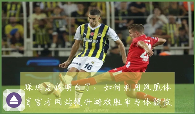 踩坑后我明白了，如何利用凤凰体育官方网站提升游戏胜率与体验技巧